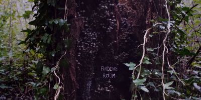 Film still from 'Finding Room' (2023) by Jon Beaton. A tree trunk covered in ivy in a woodland area. The tree trunk has a seam of small mushrooms running vertically from the top to the bottom of the image. The title of the film is nestled among the mushrooms in a dark recess of the tree trunk.